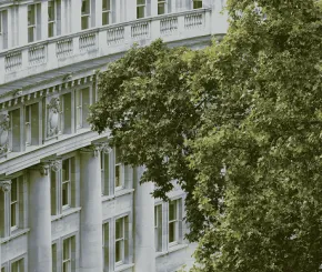 Grand white building behind trees