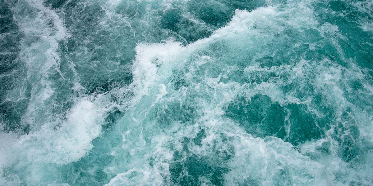 Riding the rapids | Rathbone Investment Management