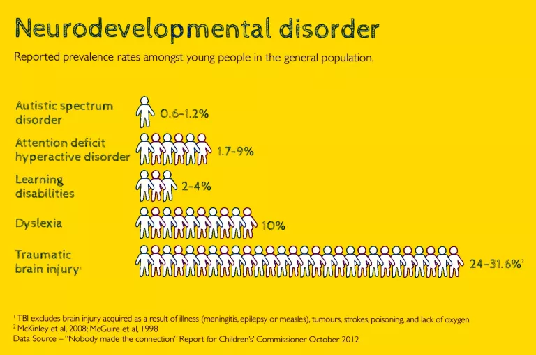 Neurodevelopmental disorder graph