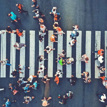 zebra-crossing-web.jpg